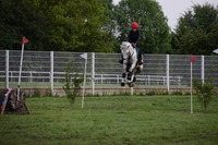 Débourrage, cycles classiques poney et TDA